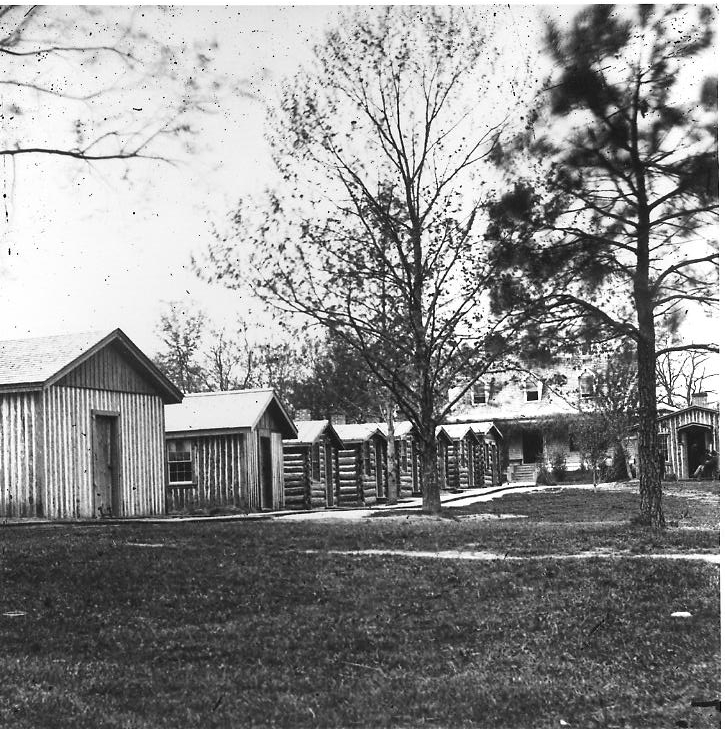 Civil War Witness Tree